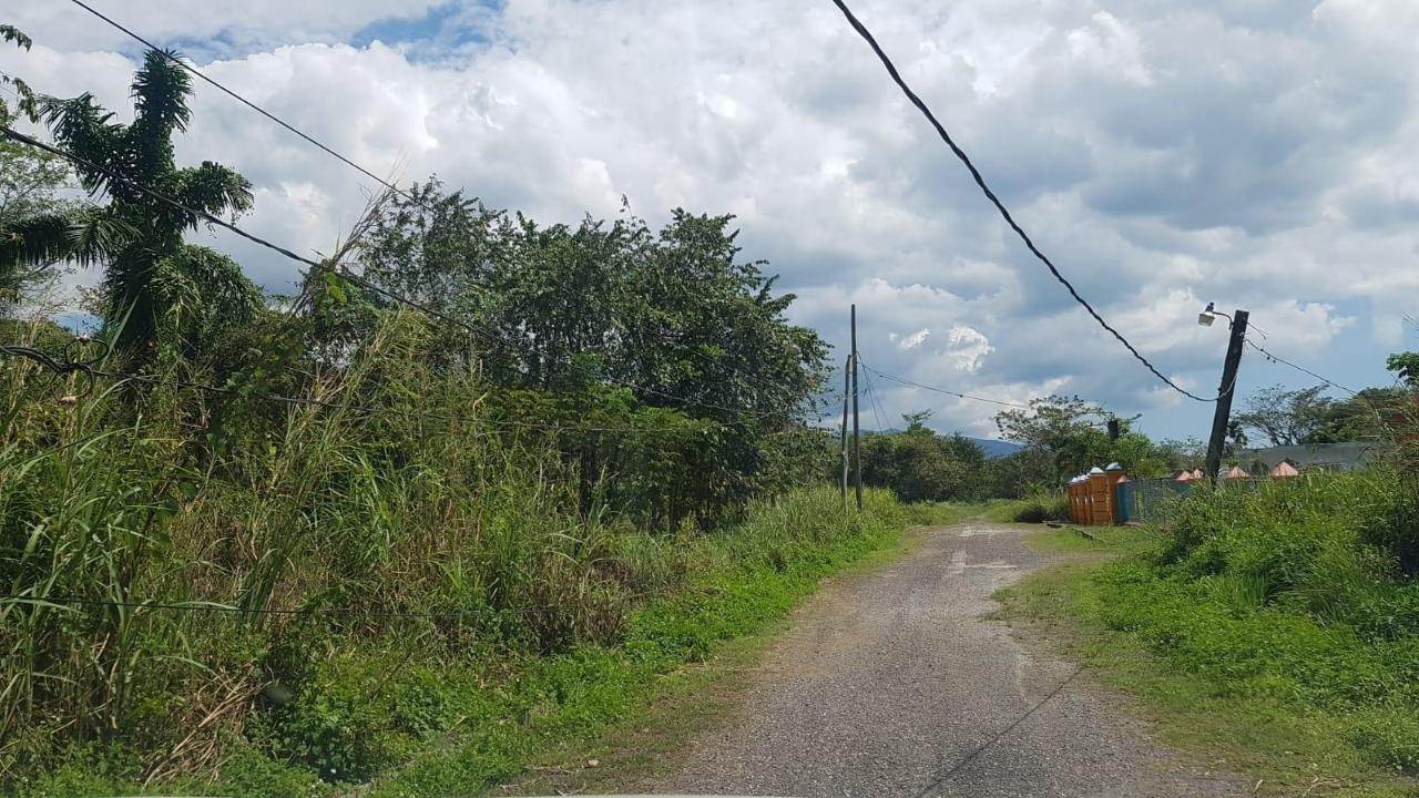 4. Lots / Acreage for Sale at Other Westmoreland, Westmoreland, Jamaica