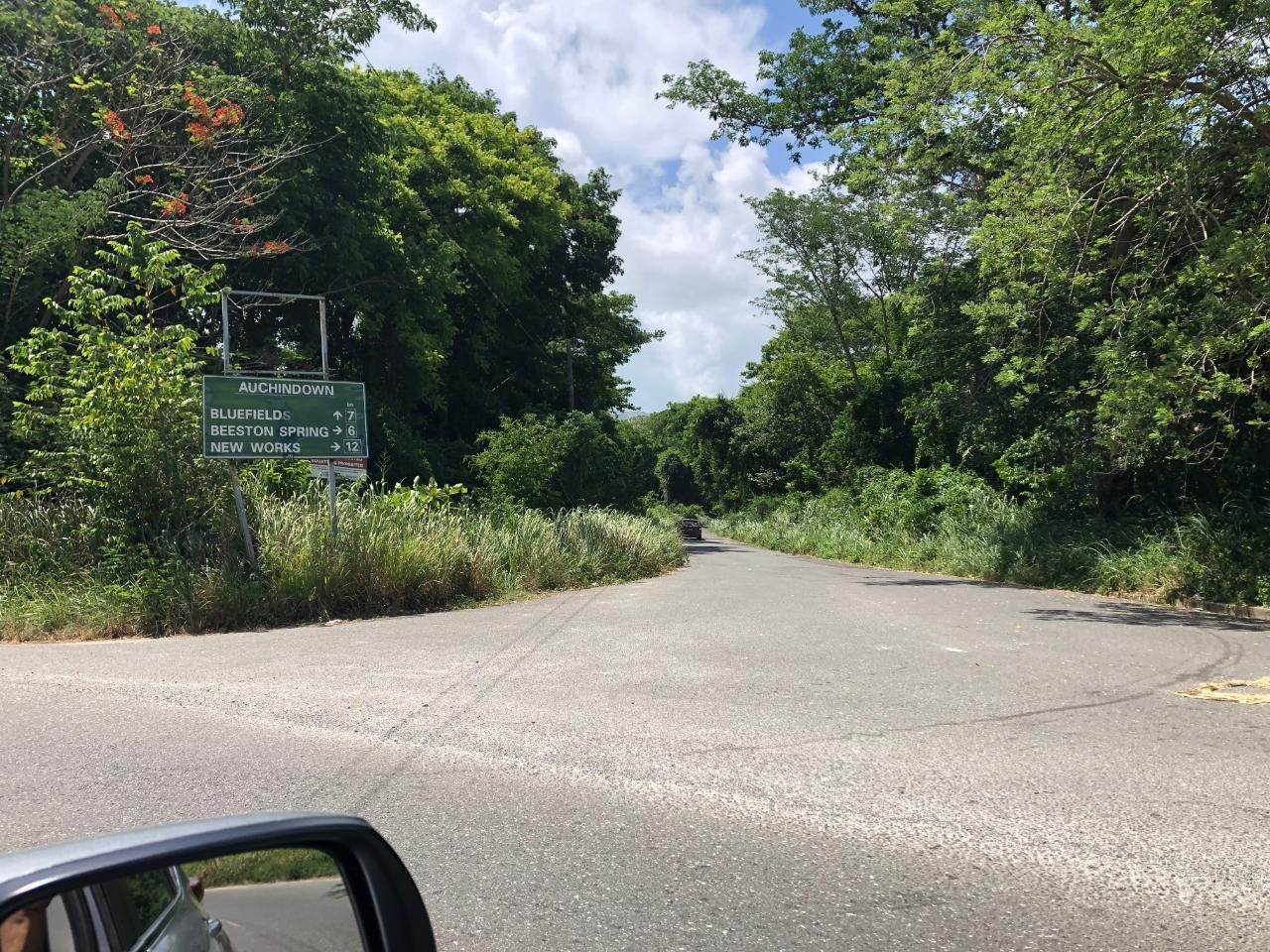 Commercial for Sale at Bluefields, Westmoreland, Jamaica