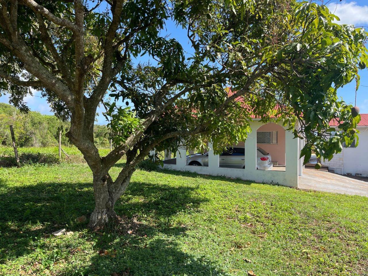 5. House for Sale at Southfield, Saint Elizabeth, Jamaica