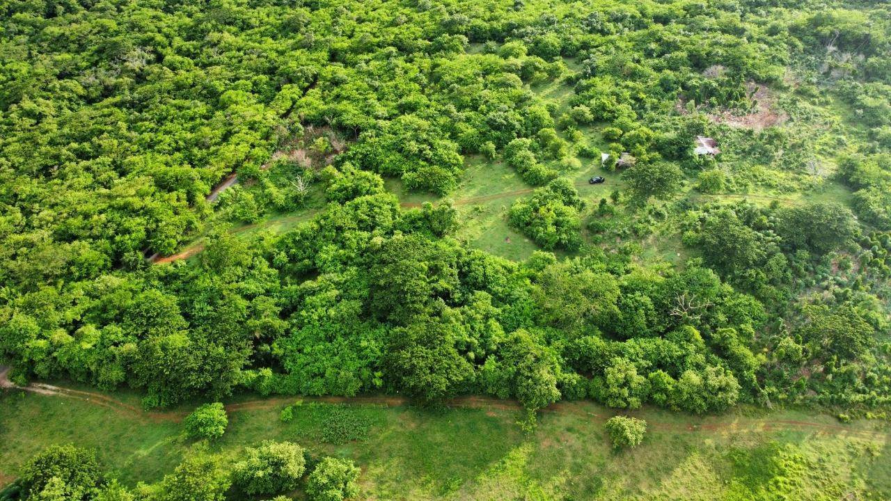 Lots / Acreage for Sale at Other Westmoreland, Westmoreland, Jamaica