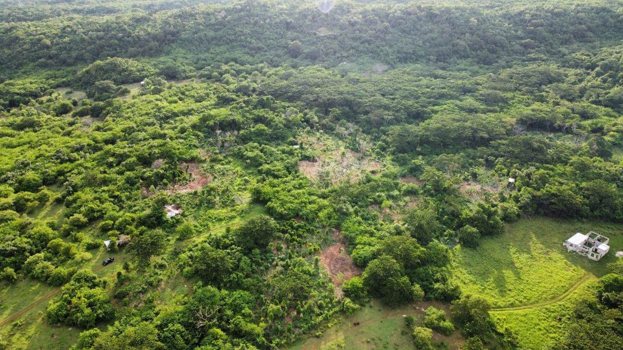 2. Lots / Acreage for Sale at Other Westmoreland, Westmoreland, Jamaica