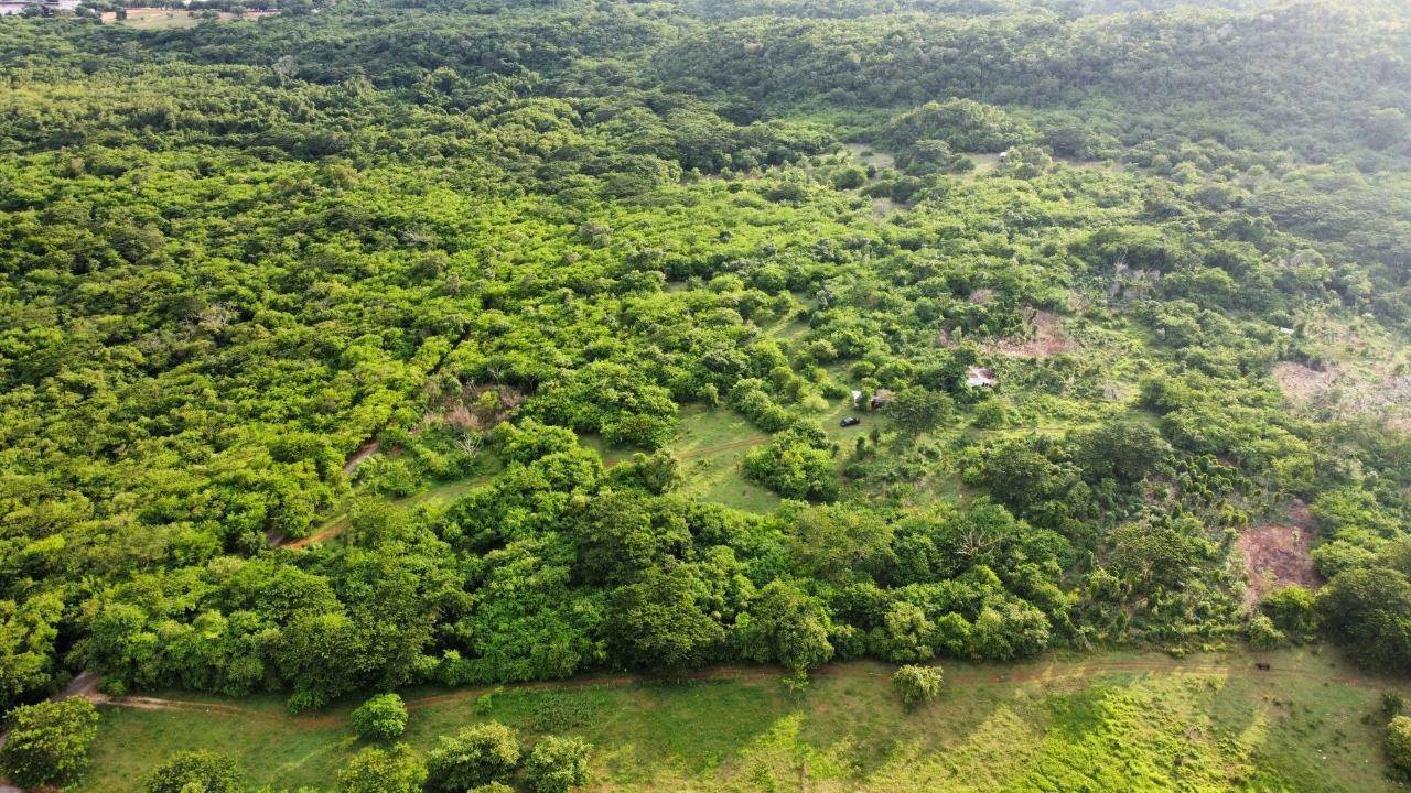 3. Lots / Acreage for Sale at Other Westmoreland, Westmoreland, Jamaica